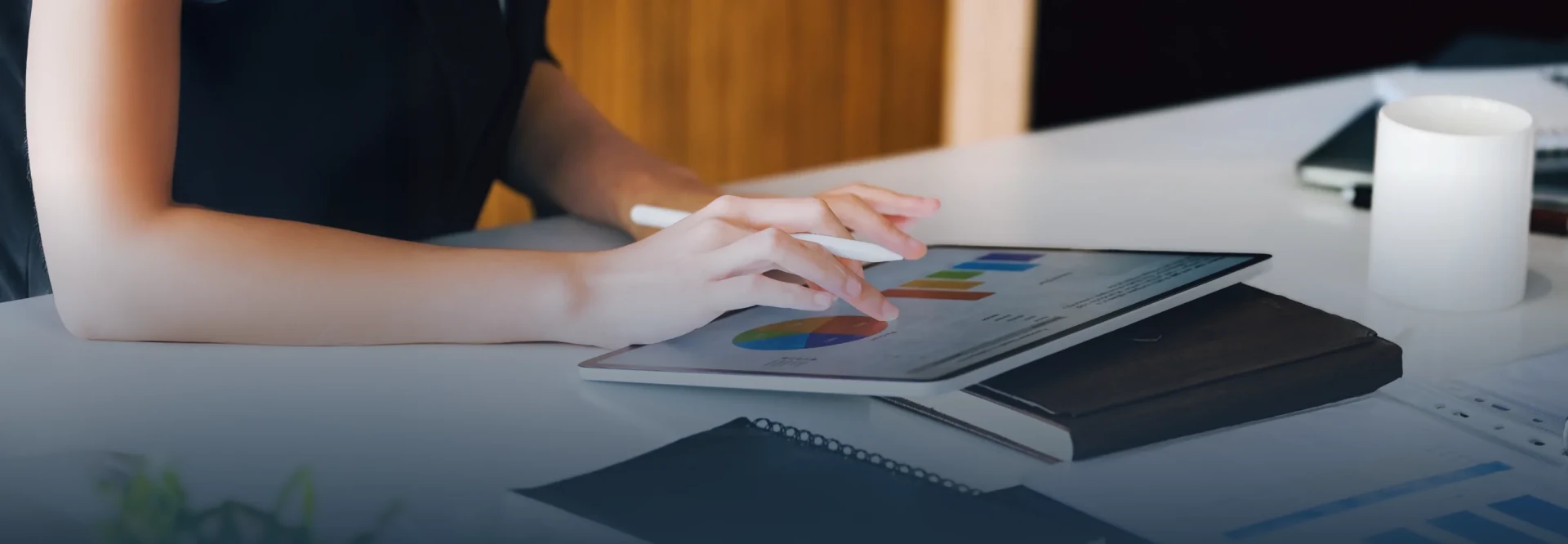 Annual Reports (Form 56-1 One Report)